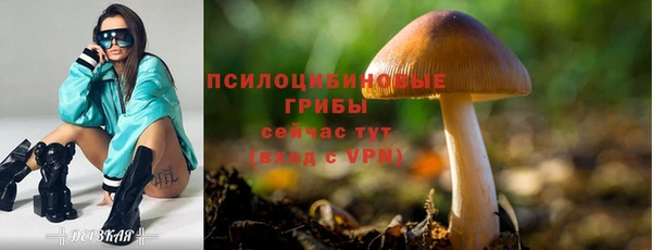 ГАЛЛЮЦИНОГЕННЫЕ ГРИБЫ Белоозёрский