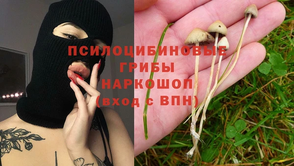ГАЛЛЮЦИНОГЕННЫЕ ГРИБЫ Белоозёрский